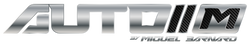 Auto M